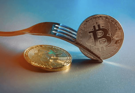 Hard Fork vs Soft Fork in Blockchain